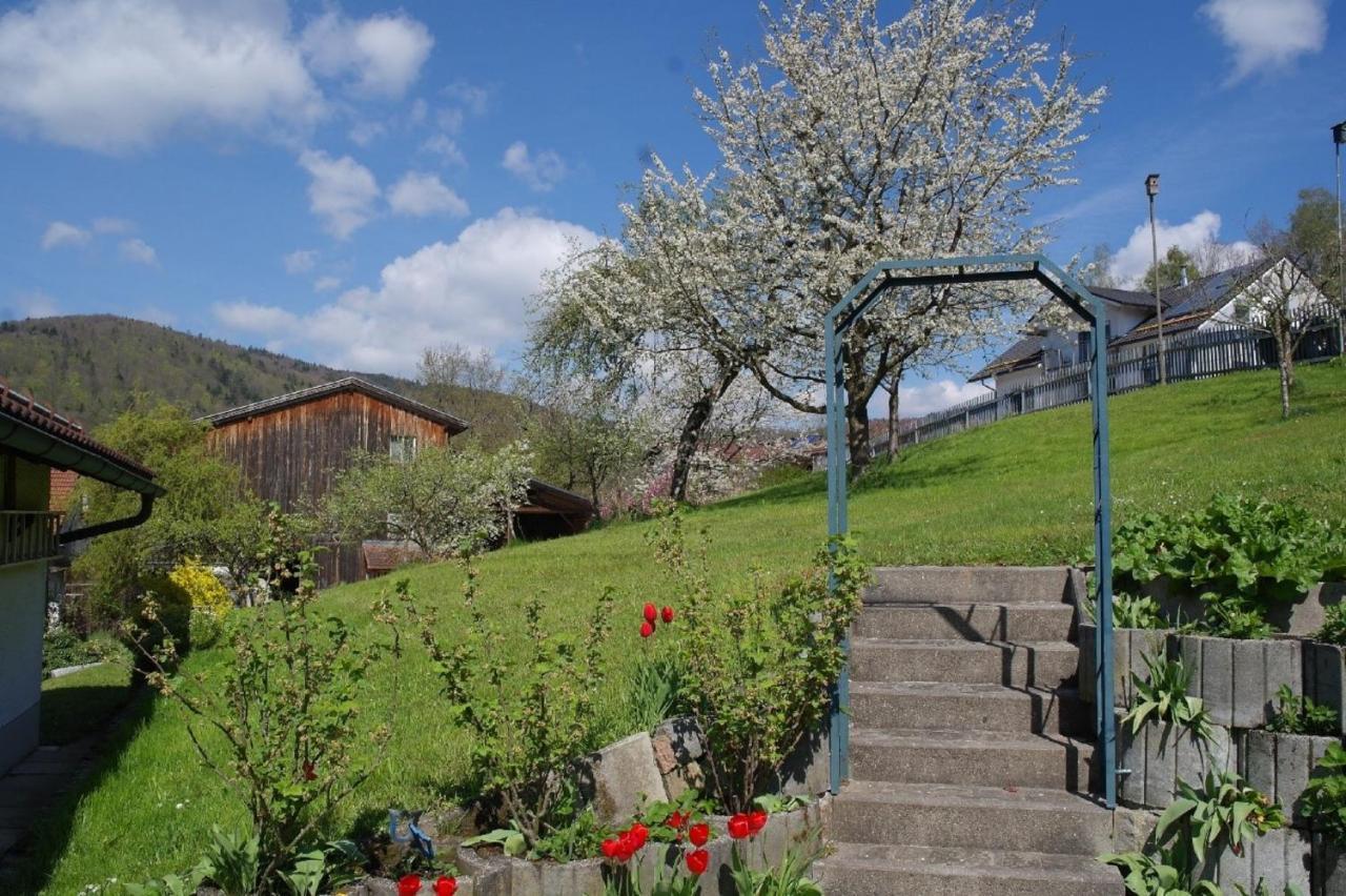 Ferienhaus Bayerwald Ringelai Экстерьер фото